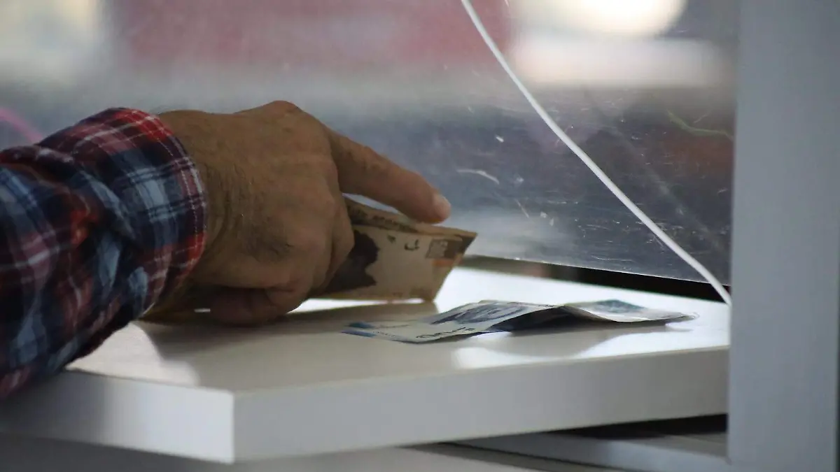 55005618757_9ce3572edc_h