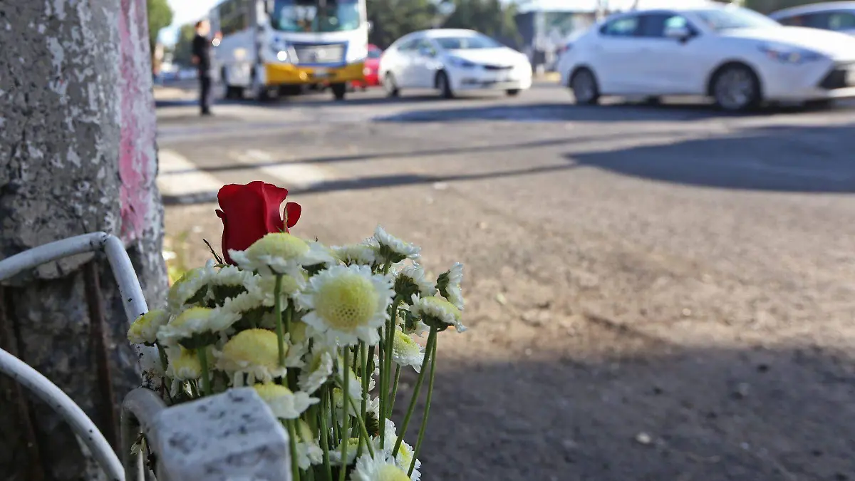 672956_Manfestación Estudiantes CUCSH_web (1)