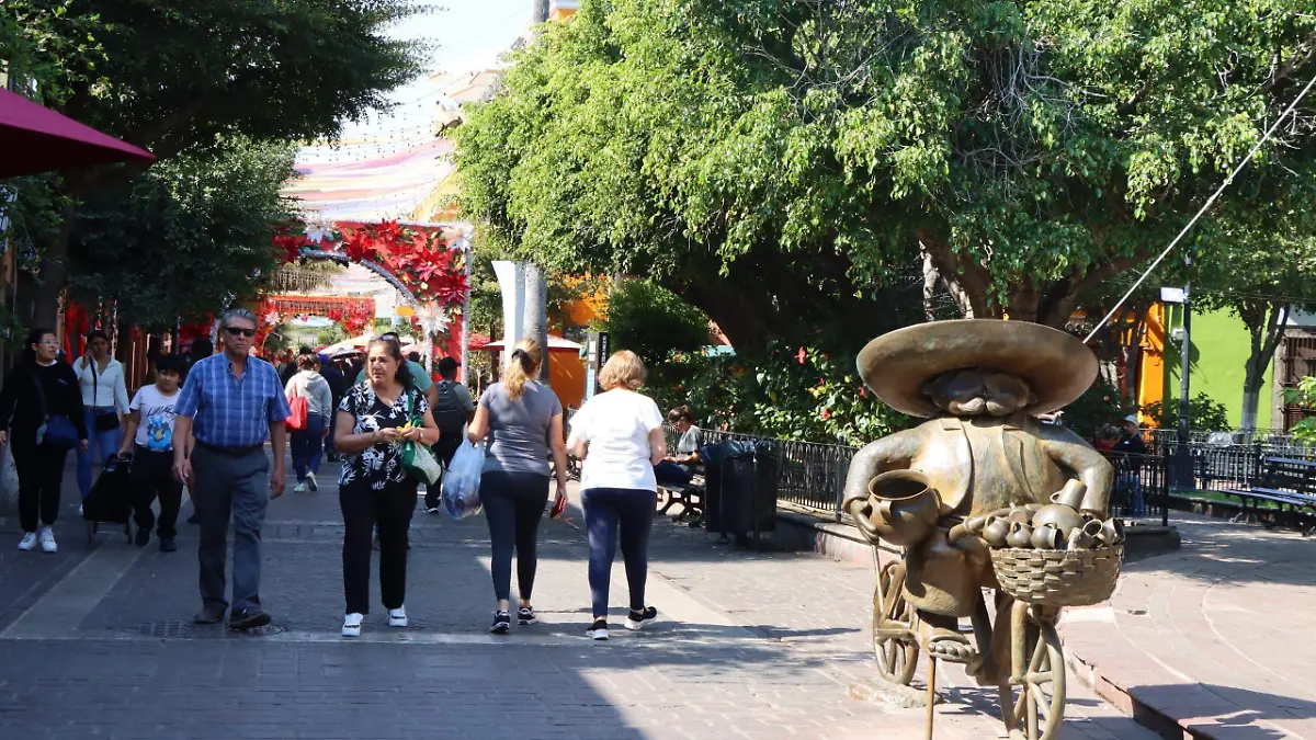 WhatsApp Image 2026-01-08 at 6.12.04 PM