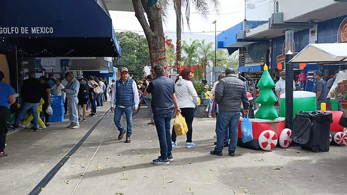 WhatsApp Image 2026-01-11 at 12.52.17 PM