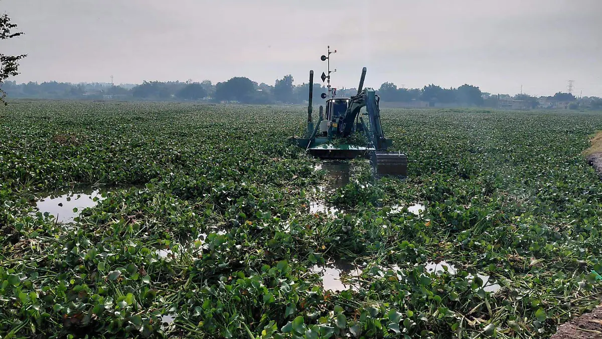 Agua Foto Pablo Toledo
