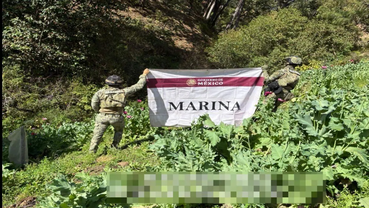 Secretaría de Marina