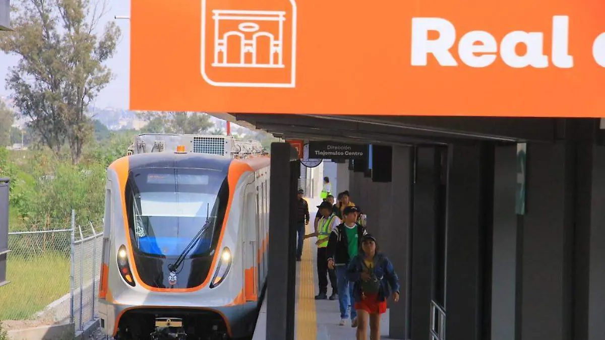 55043004728_e1b94db449_b