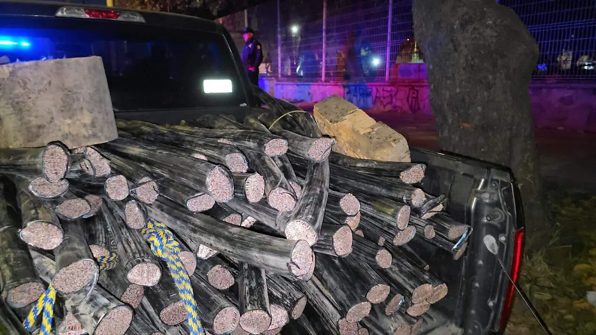 WhatsApp Image 2026-01-15 at 5.44.13 PM