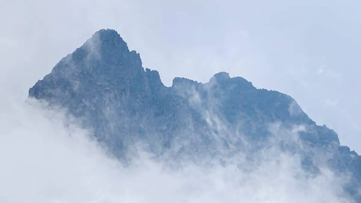 WhatsApp Image 2026-01-16 at 4.29.36 PM