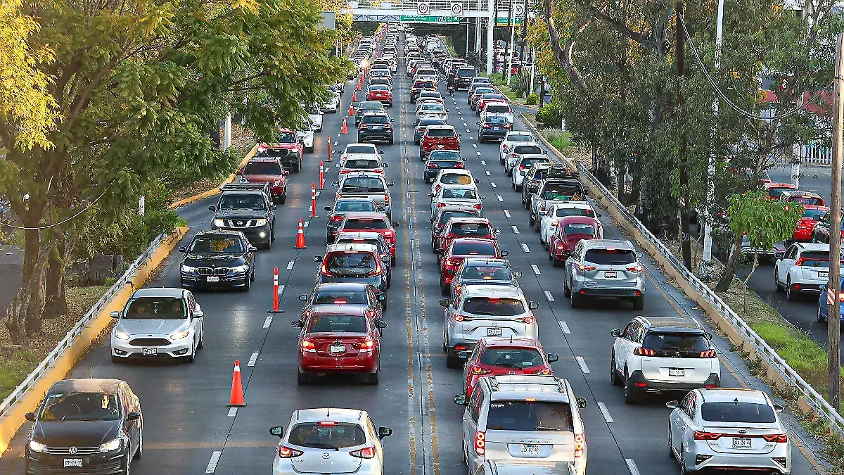 Avenida López Mateos