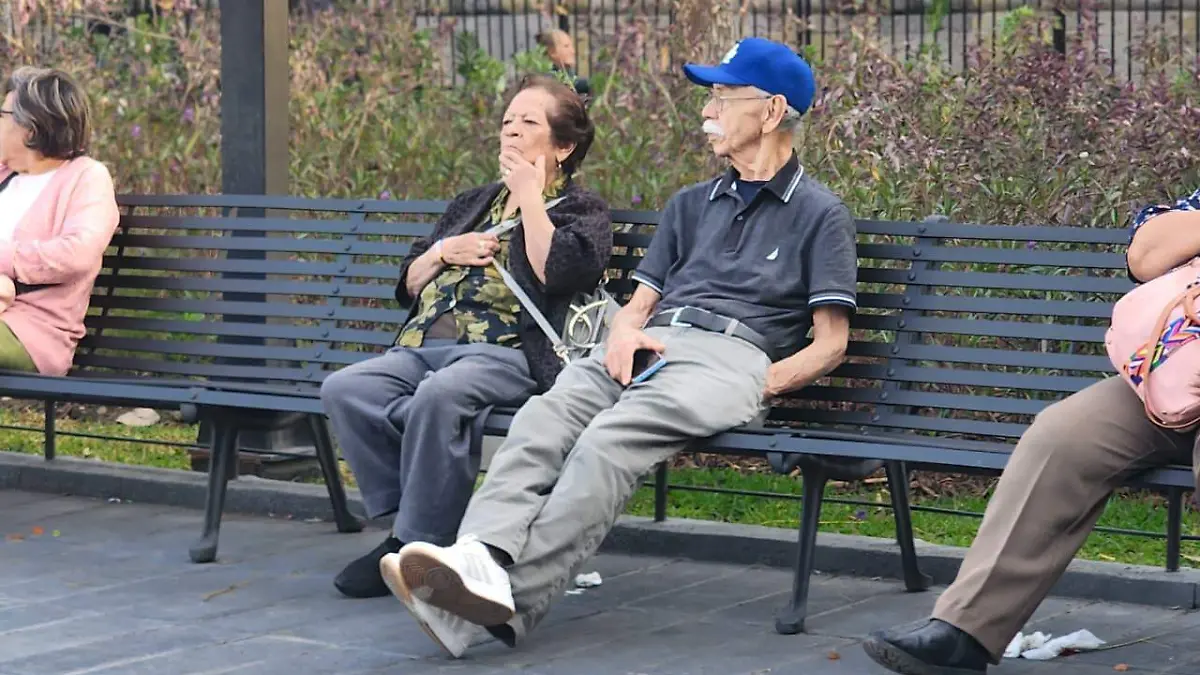 WhatsApp Image 2026-01-22 at 5.47.22 PM