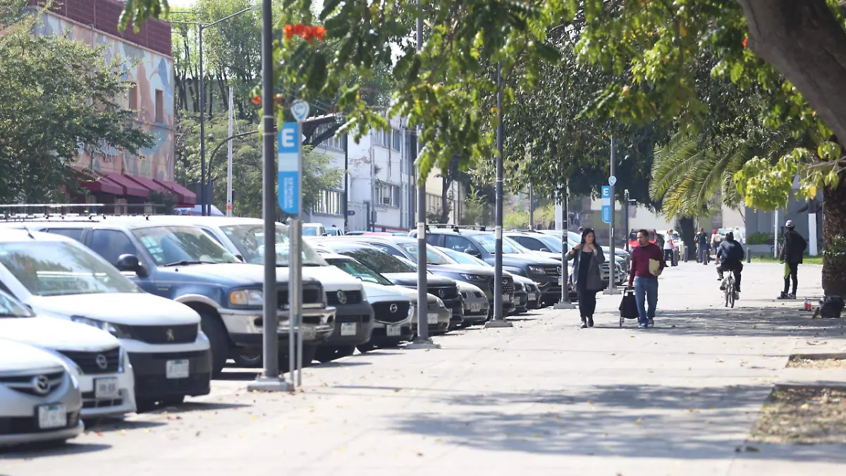 WhatsApp Image 2026-02-04 at 5.04.34 PM (2)