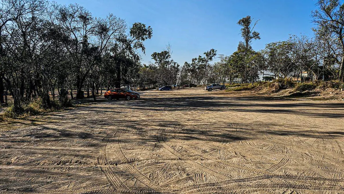 Bosque El Centinela Foto Aurelio Magaña (4).jpeg