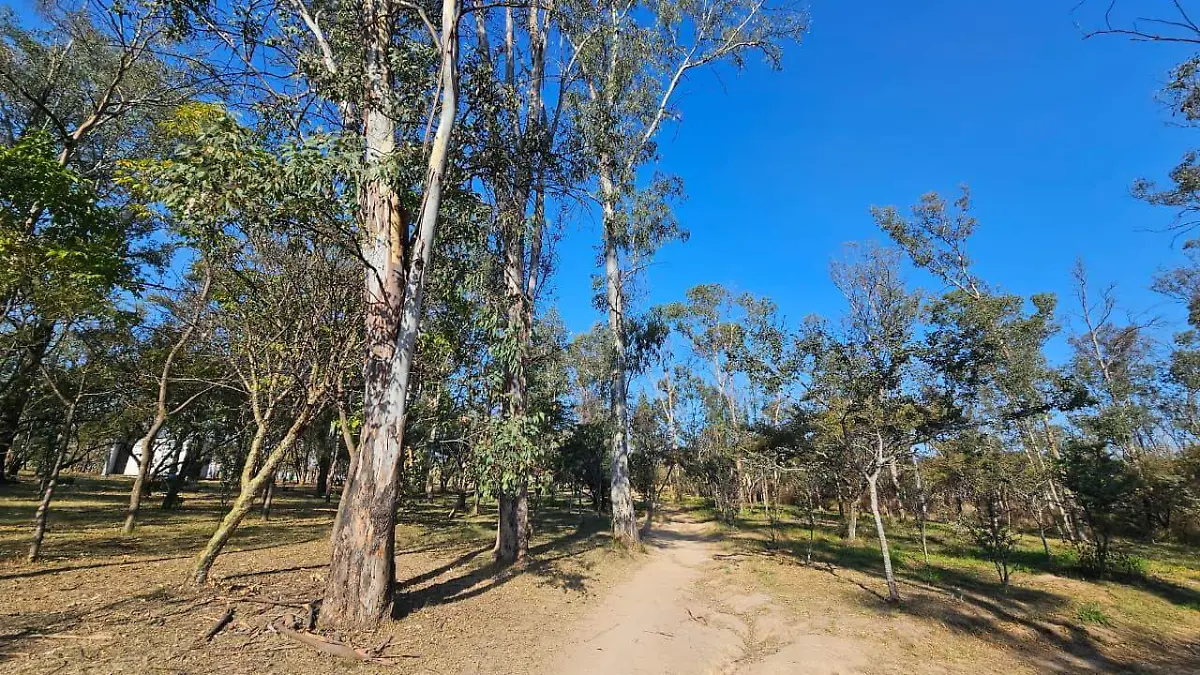 Bosque El Centinela Foto Aurelio Magaña (9).jpeg