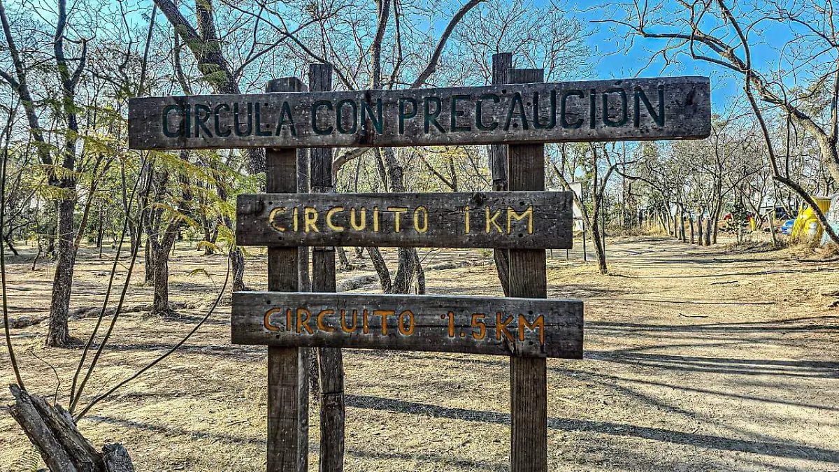 Bosque El Centinela Foto Aurelio Magaña (2)