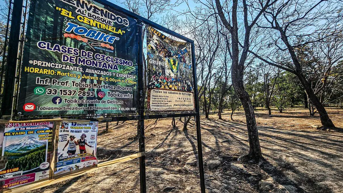 Bosque El Centinela Foto Aurelio Magaña (3).jpeg