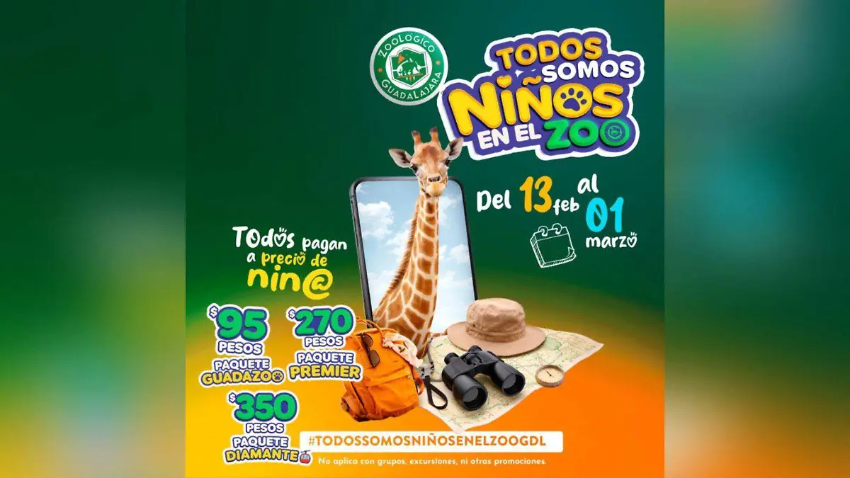 WhatsApp Image 2026-02-10 at 5.23.11 PM