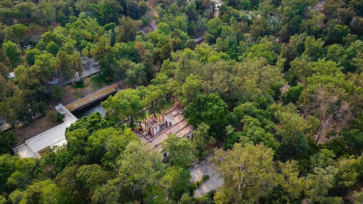 Bosque de Los Colomos