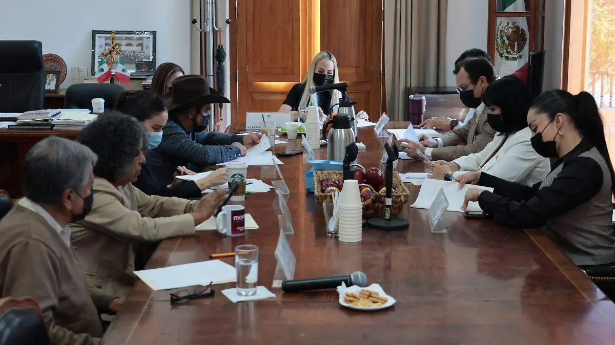 WhatsApp Image 2026-02-11 at 8.14.35 PM