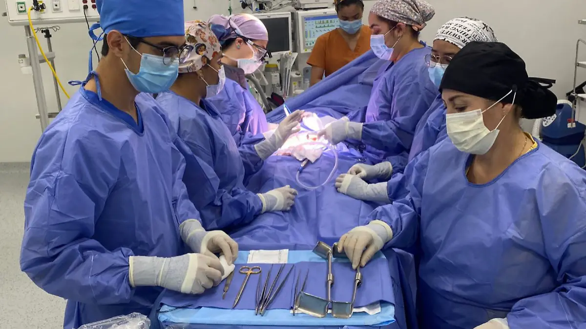 Hospitales Civiles  (2)