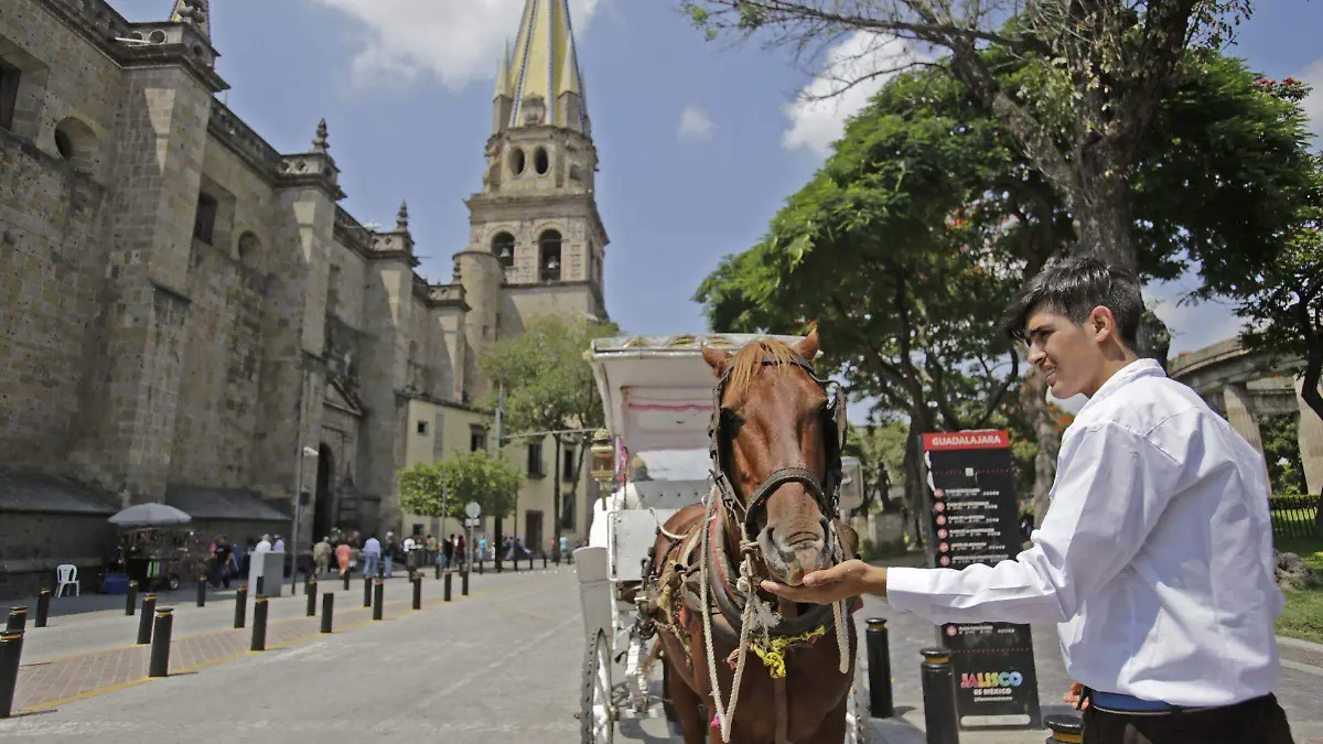 621059_Calandrias Gdl._web