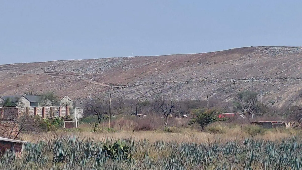 WhatsApp Image 2026-02-17 at 5.59.53 PM