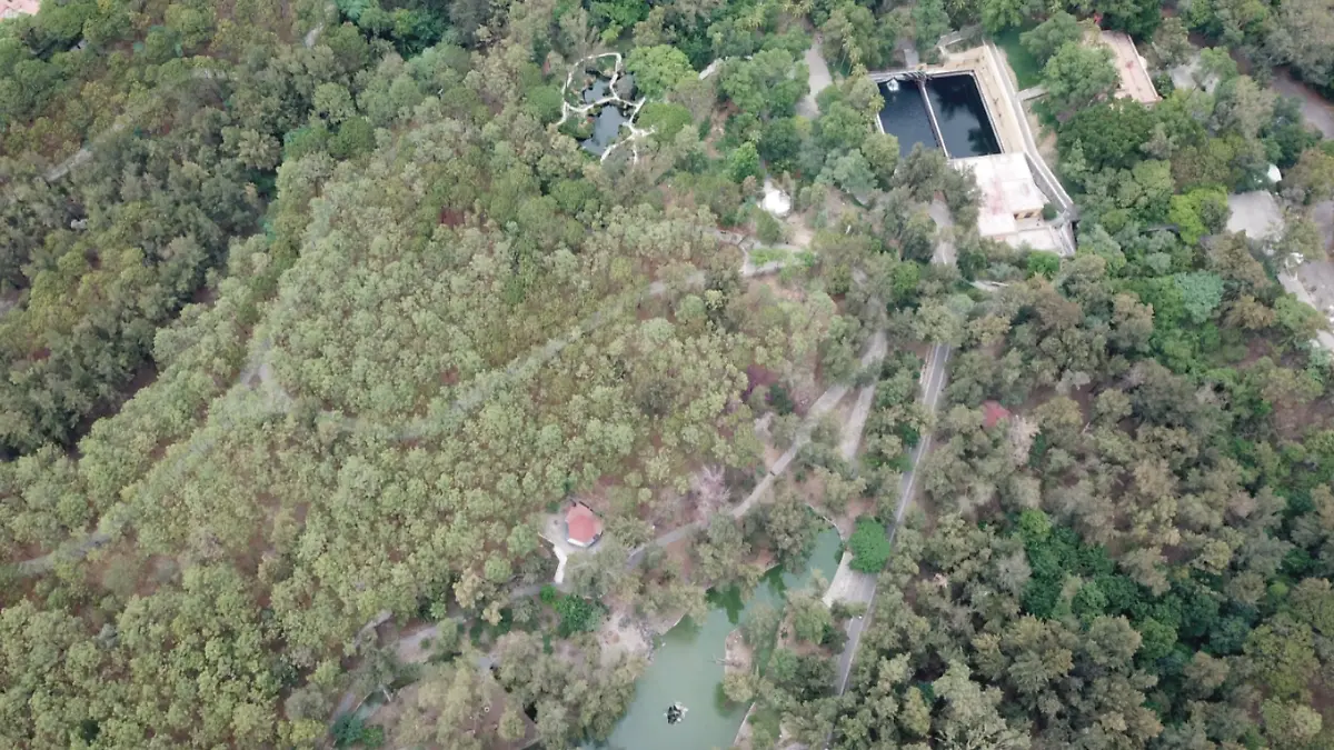 Agencia de Bosques Urbanos Bosque Colomos Facebook