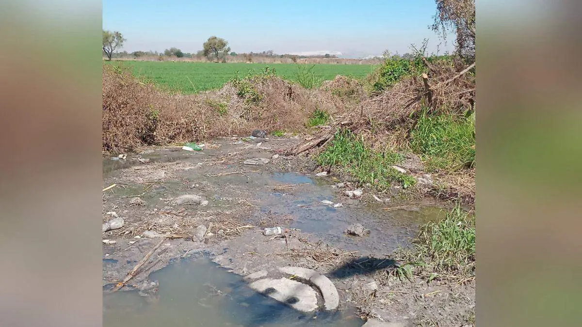 WhatsApp Image 2026-02-21 at 10.00.29 AM