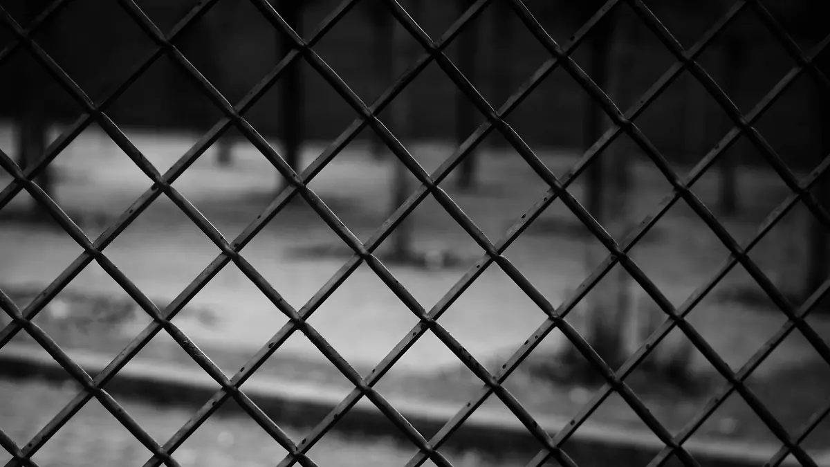 Christian Gafenesch Unsplash