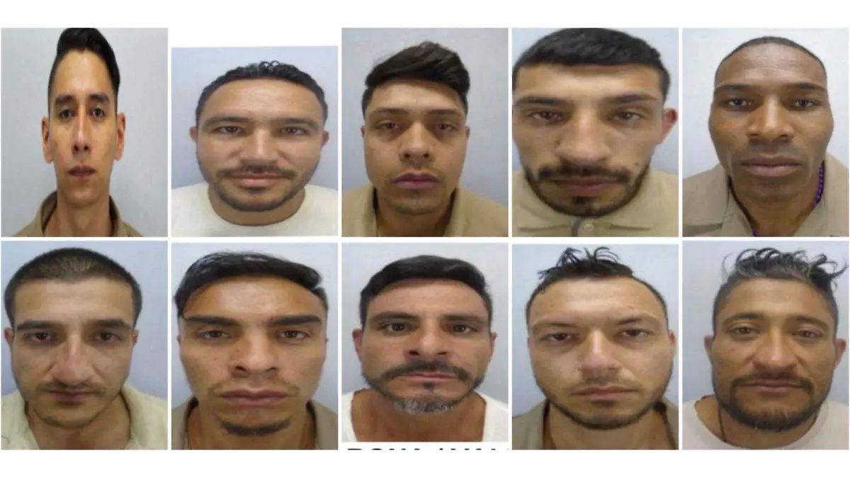 WhatsApp Image 2026-02-24 at 5.13.50 PM