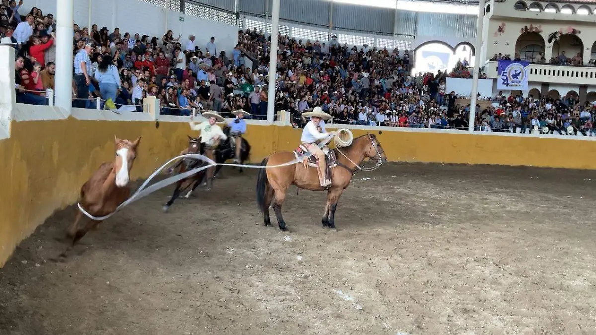 WhatsApp Image 2026-02-25 at 6.59.37 PM