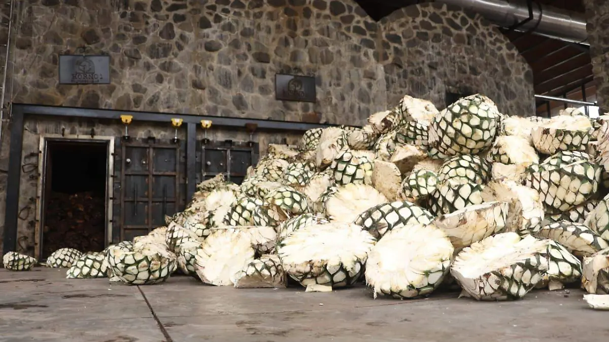 WhatsApp Image 2026-03-02 at 4.40.10 PM (2)