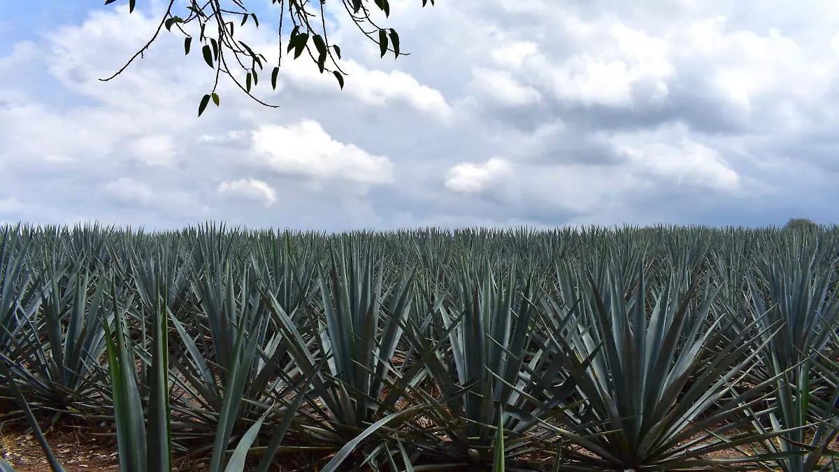 WhatsApp Image 2026-03-02 at 4.40.10 PM