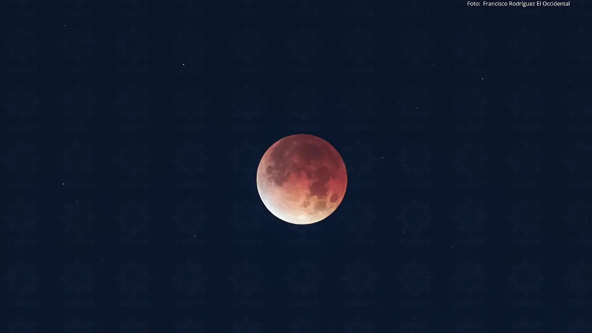 Francisco Rodríguez 