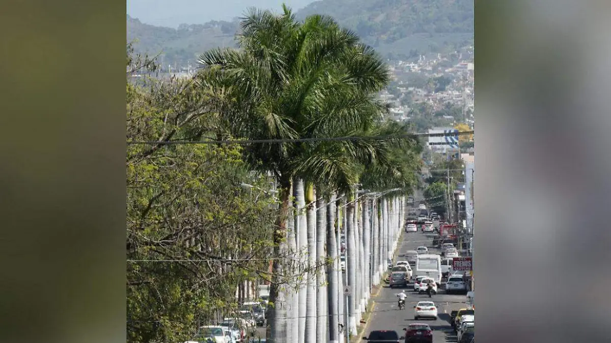 WhatsApp Image 2026-03-05 at 3.26.37 PM