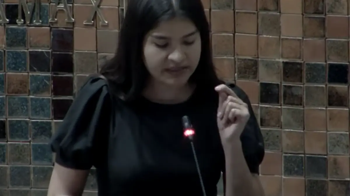 Diputada Mariana Casillas