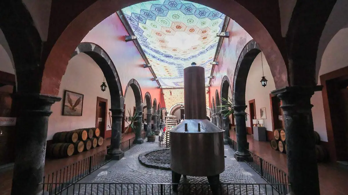 55142227511_8e4a13ce7c_b