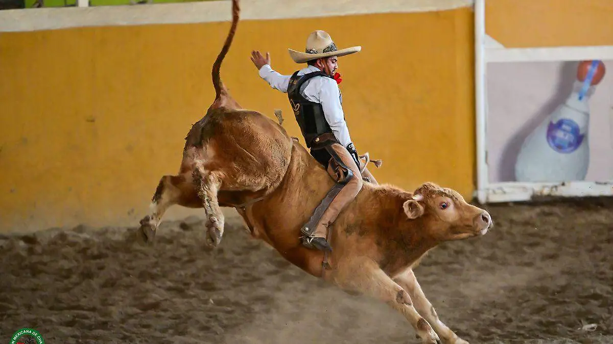 WhatsApp Image 2026-03-11 at 7.33.25 PM