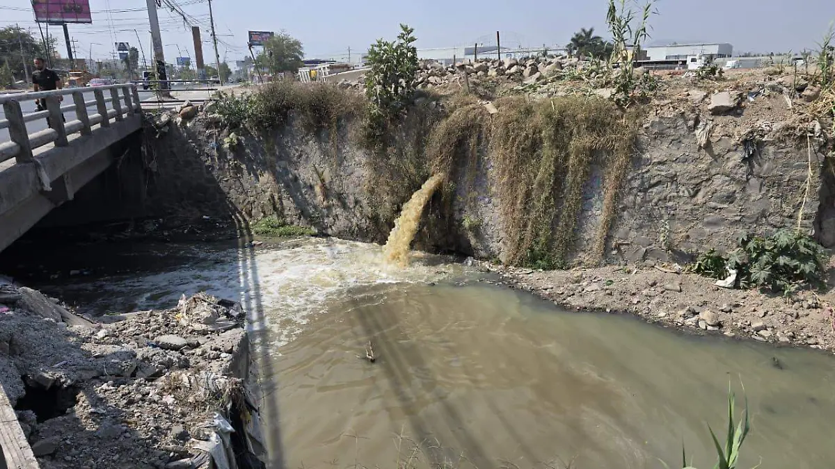 WhatsApp Image 2026-03-12 at 4.26.07 PM