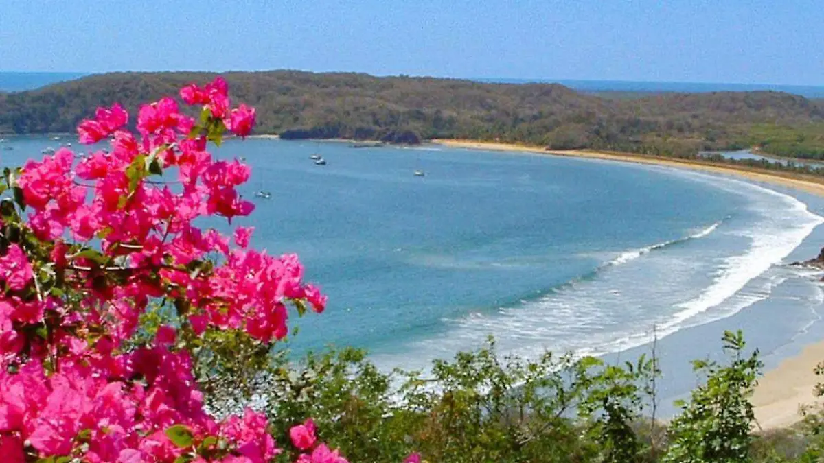 WhatsApp Image 2026-03-12 at 7.45.50 PM