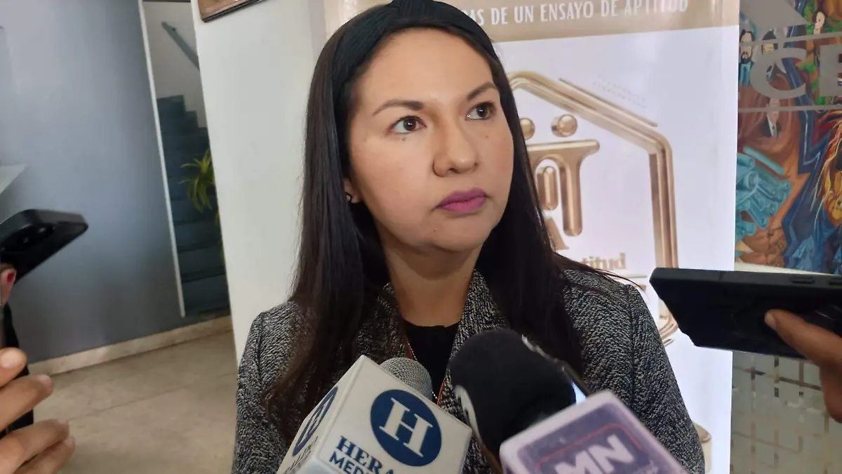 Mirna Aideé Avilés Mis