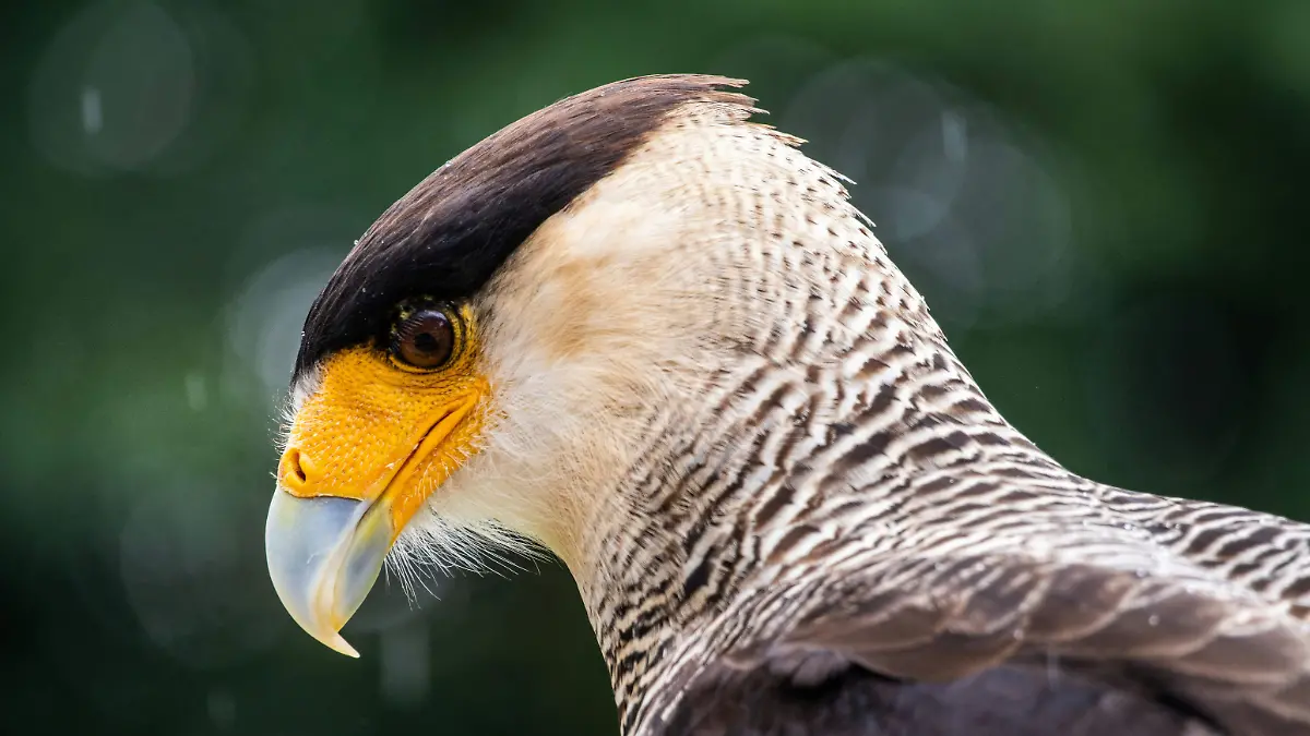 Doncoombez  Unsplash (Ilustrativa)