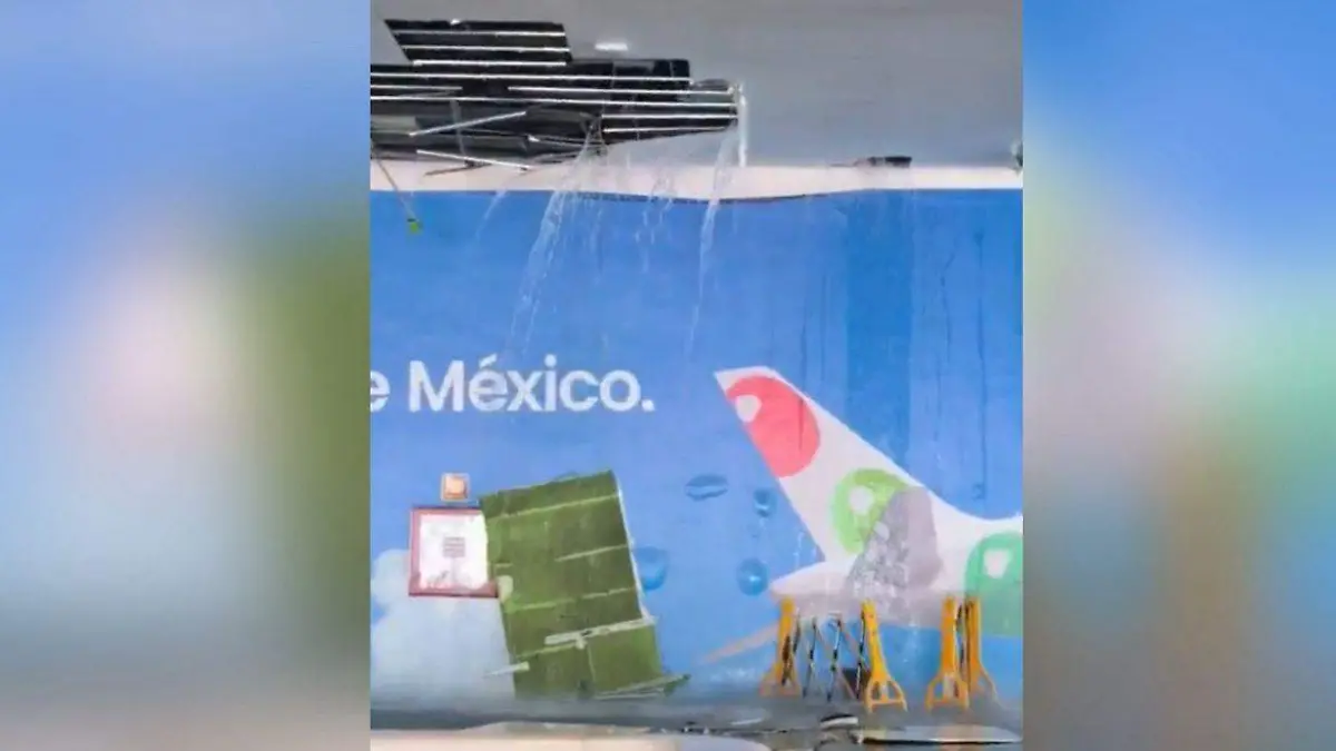 WhatsApp Image 2026-03-16 at 9.36.58 PM