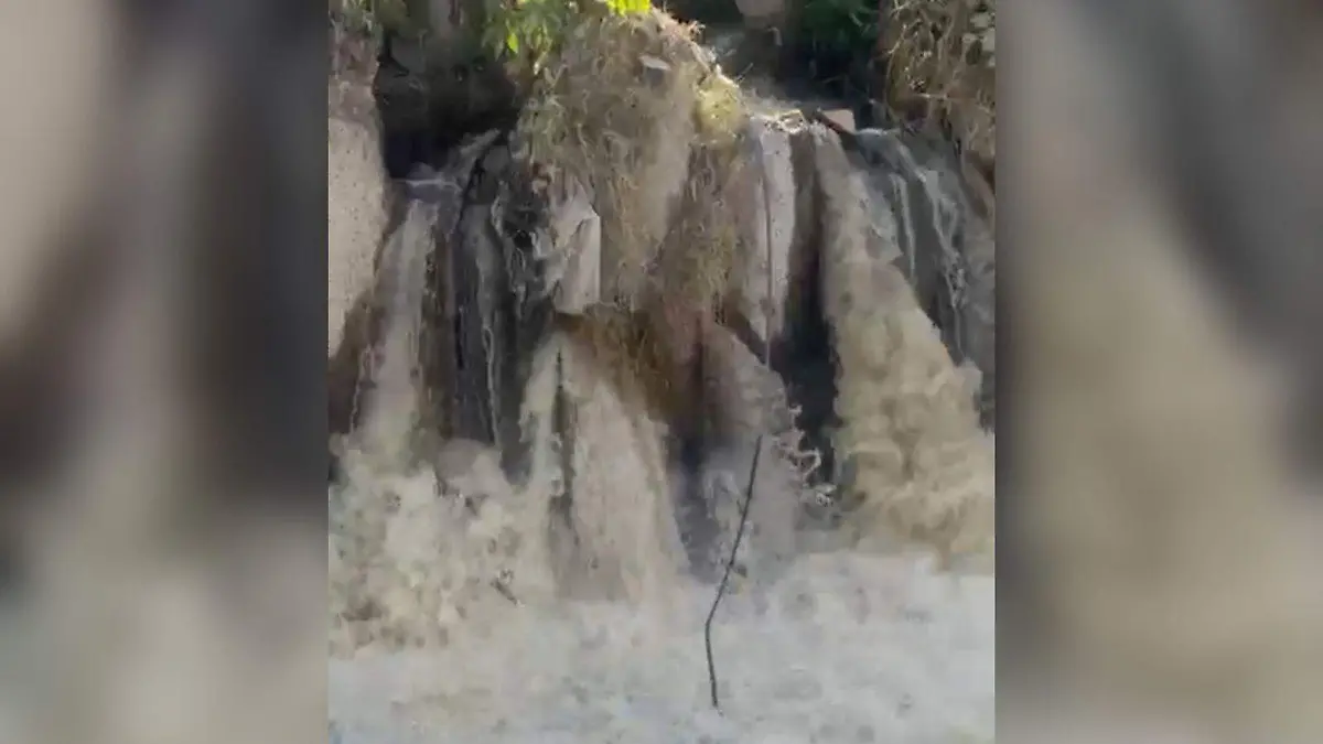 Cortesía  PC de Tlaquepaque