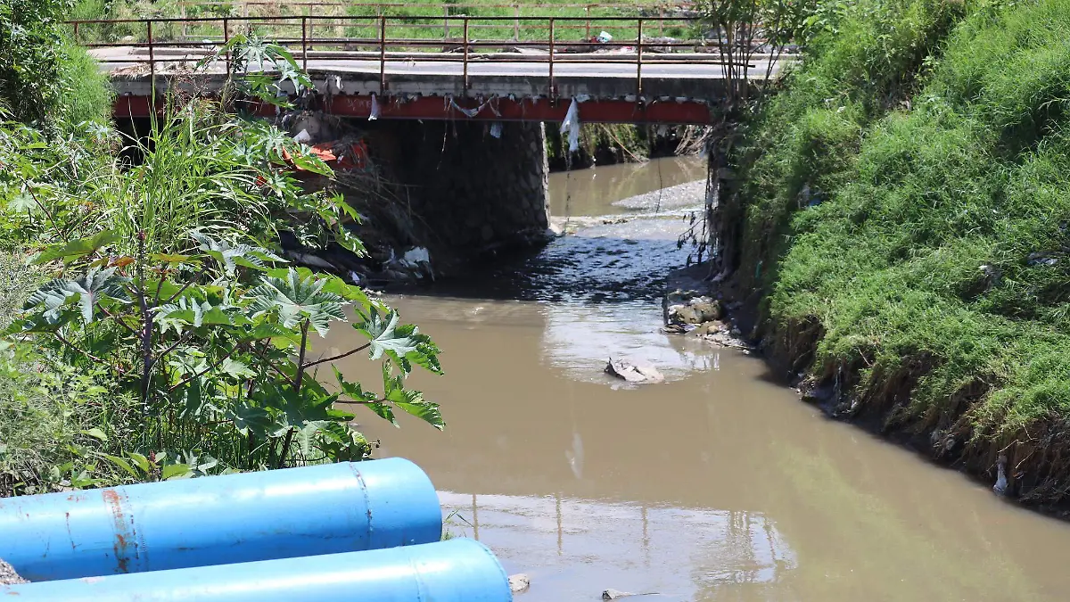 Gobierno de Tlajomulco Ilustrativa