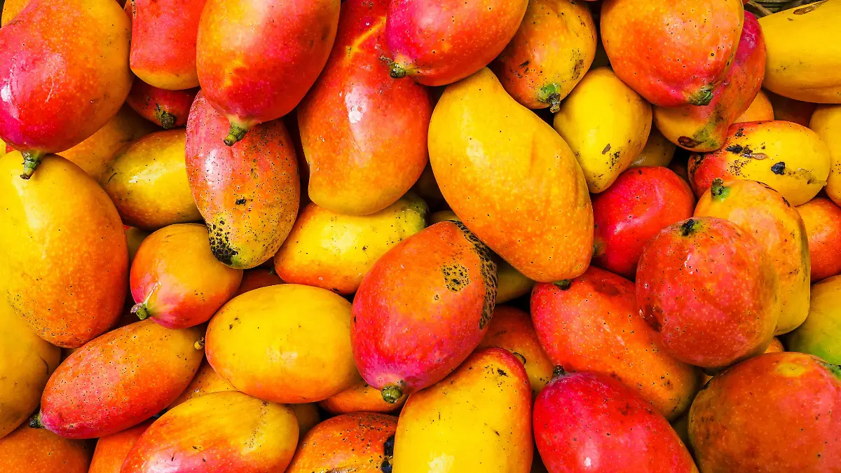Alexander Schimmeck Unsplash Mangos