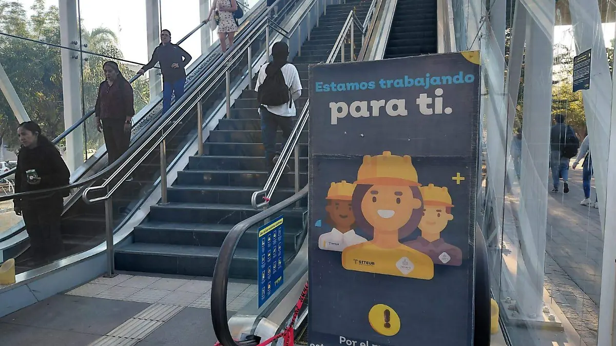 Tren Ligero Foto Pablo Toledo  (2)