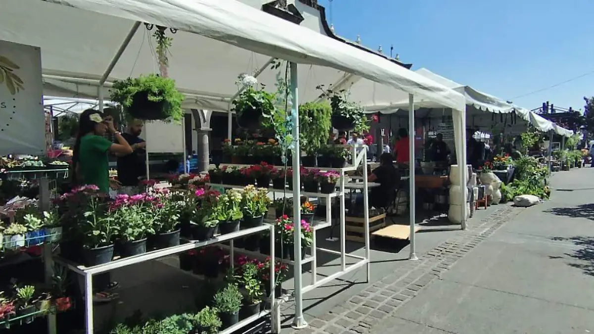 WhatsApp Image 2026-03-18 at 6.42.12 PM