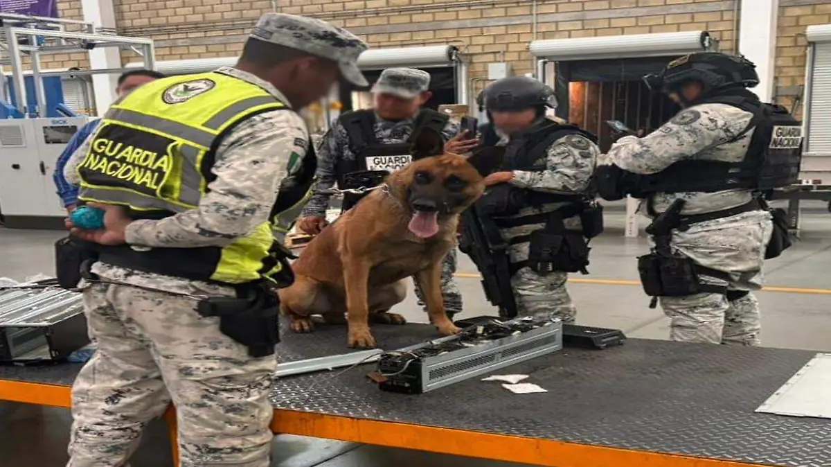 Decomiso droga paquetería de Tlajomulco de Zúñiga