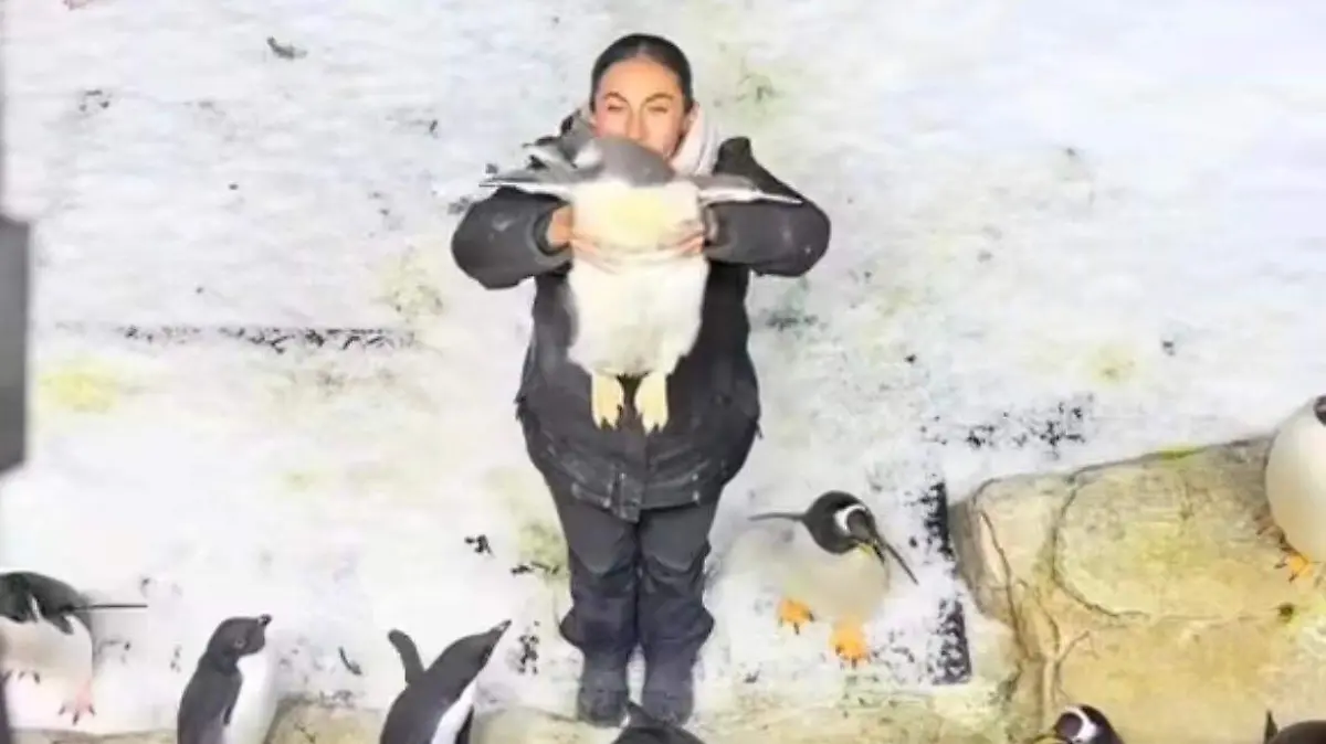 PHOTO-2026-03-20-20-36-36