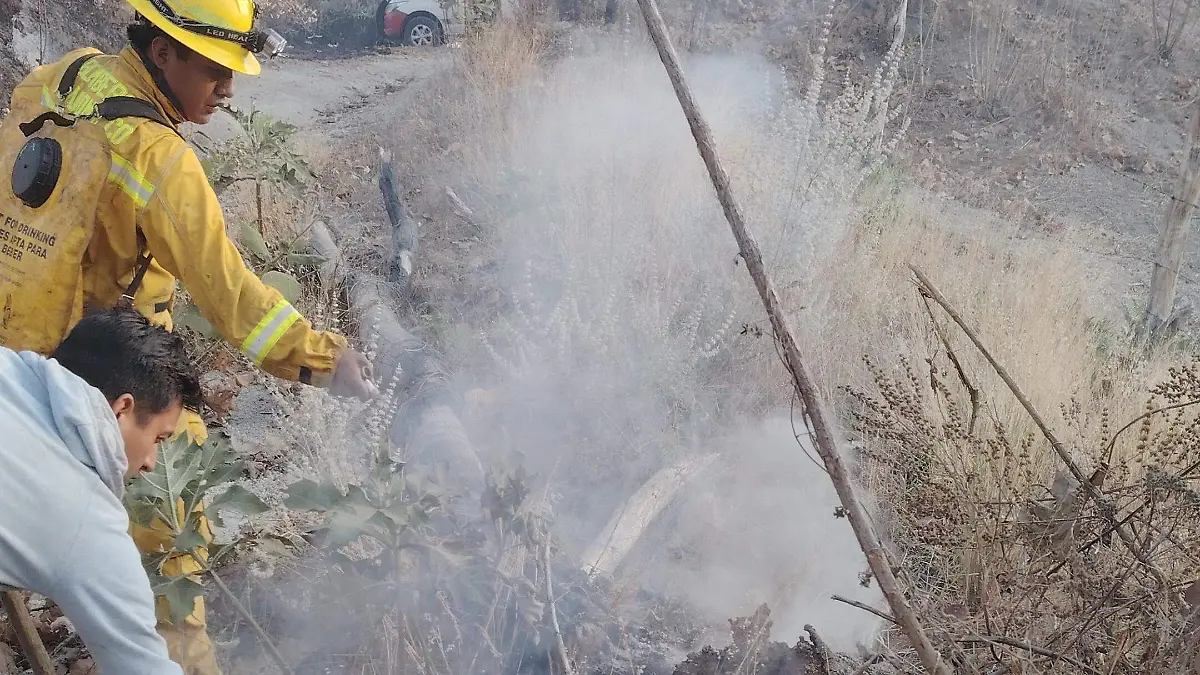 Incendio La Primavera