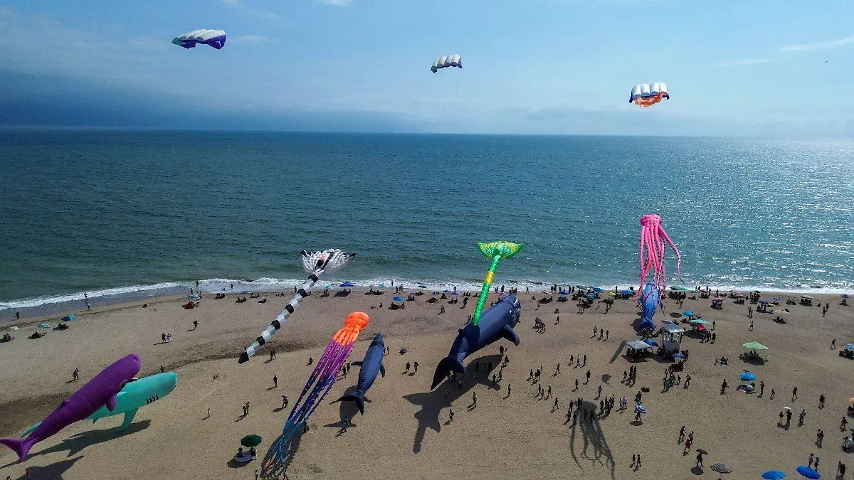 1035348_Greenpeace Protección Mares_web