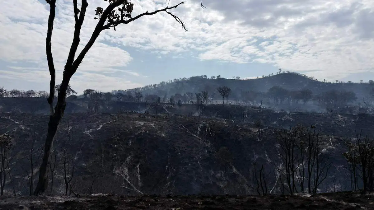 Incendio La Primavera  Gobierno Tlajomulco