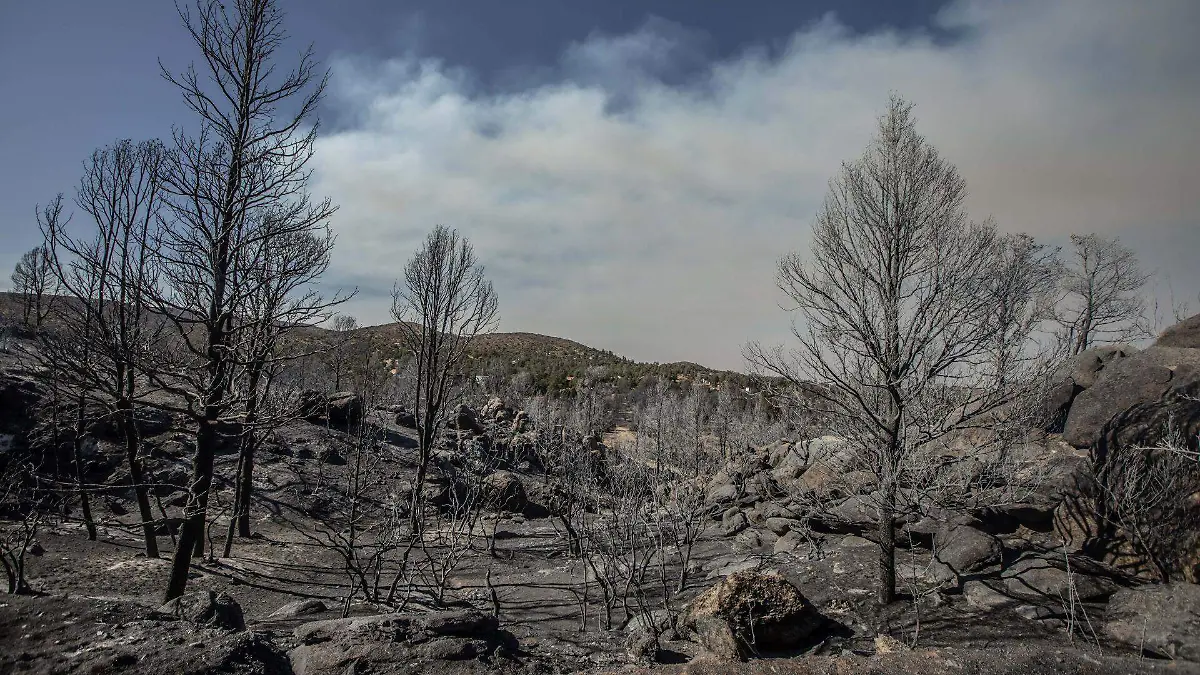 1038178_Incendio Forestal Tecate_web